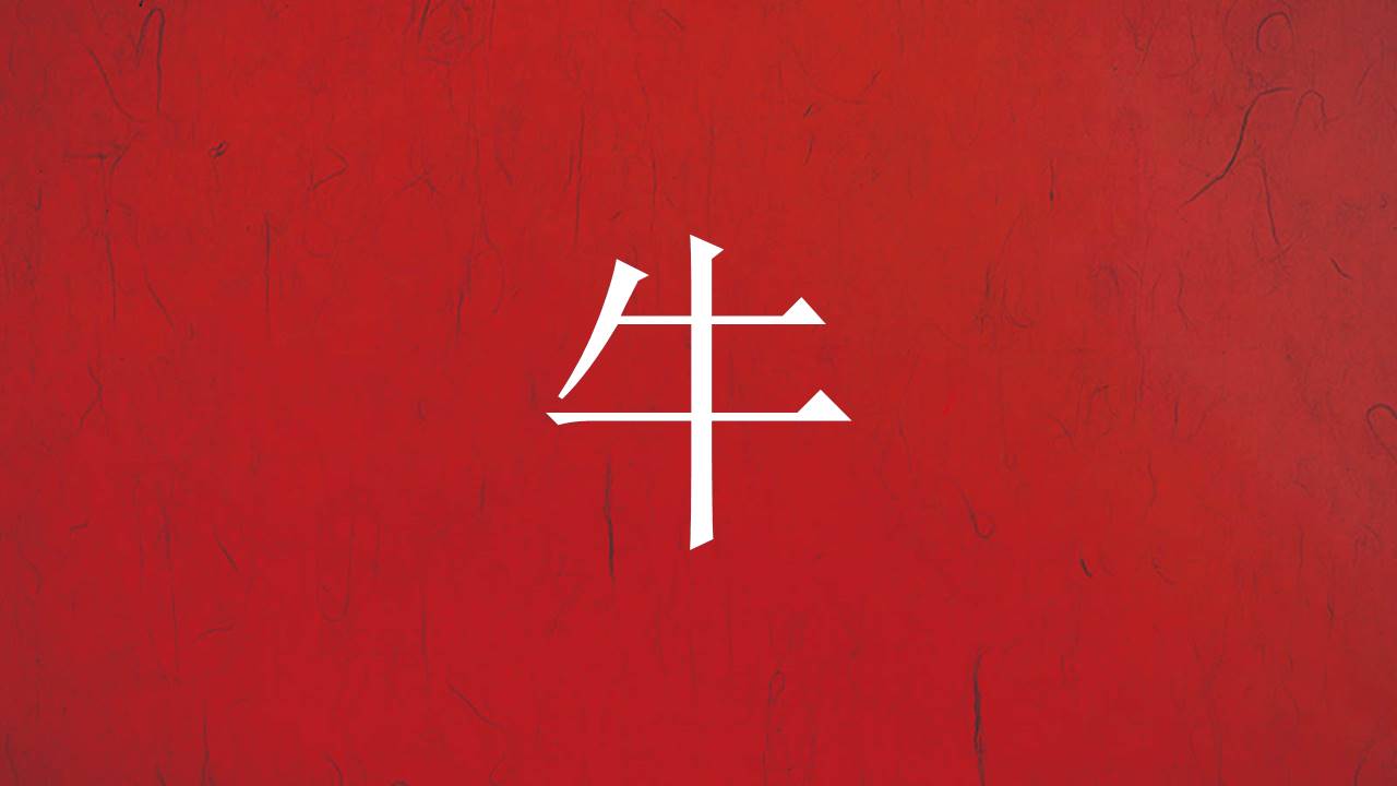快闪风 (6).pptx
